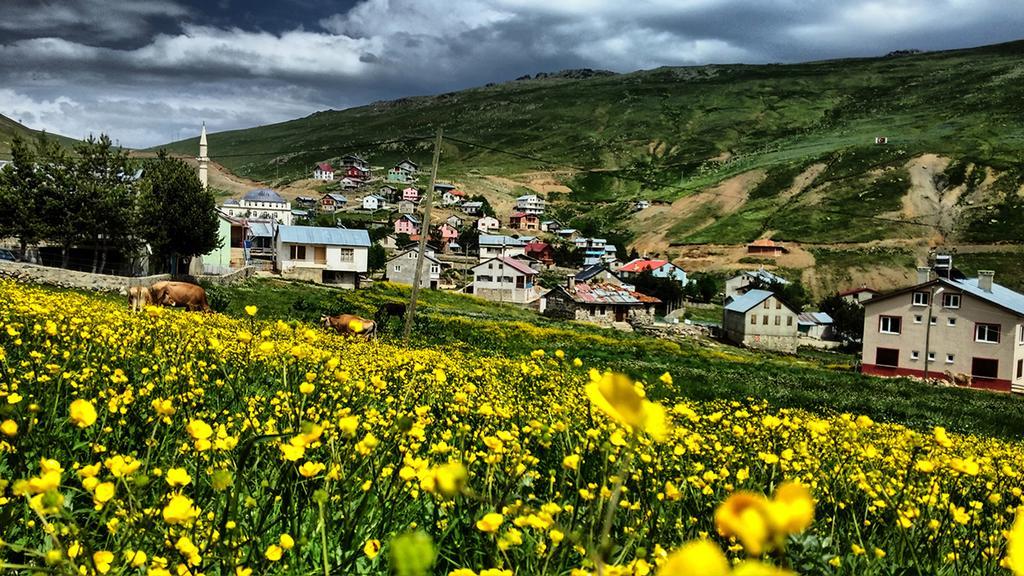 Aydinli Pansiyon Caykara Экстерьер фото